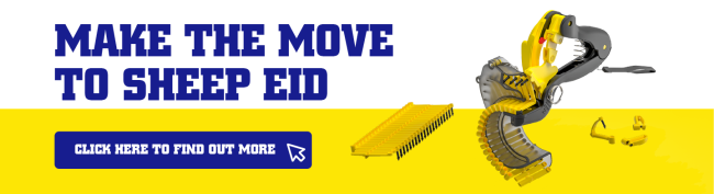 Banner make the move to sheep Eid-desktop.