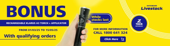 Torch promotion