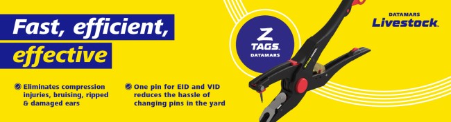 BANNER-FAST-EFFICIENT-EFFECTIVE-ZT-DESKTOP