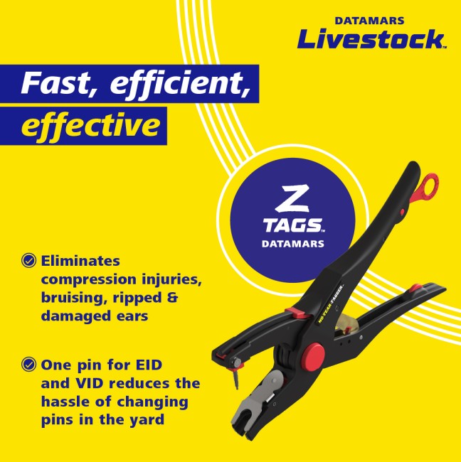 BANNER-FAST-EFFICIENT-EFFECTIVE-ZT-MOBILE.