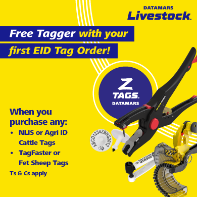 ZTAG FREE TAGGER WEB BANNER