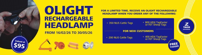 Head lamp banner desktop image