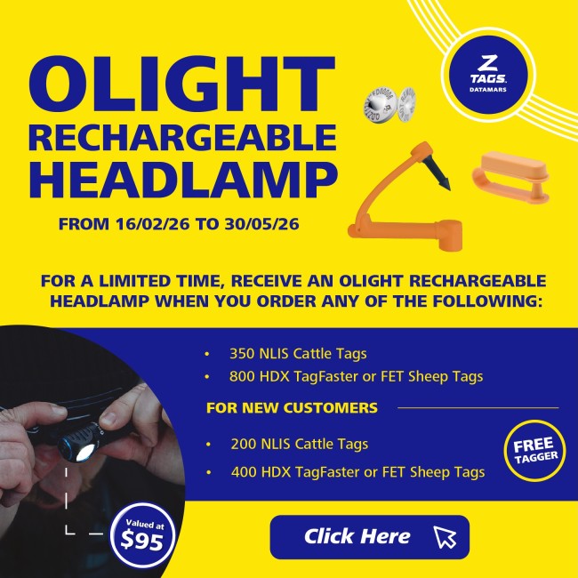 Head Lamp banner mobile image