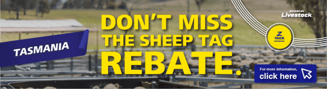 Tasmania Tag Rebate Artwork banner desktop