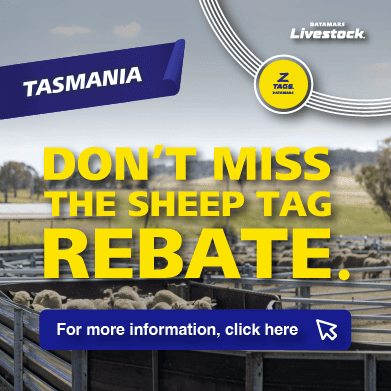 Tasmania Tag Rebate Artwork banner mobile