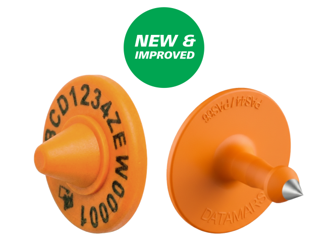 Orange Tag NEW