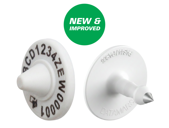 White Tag NEW