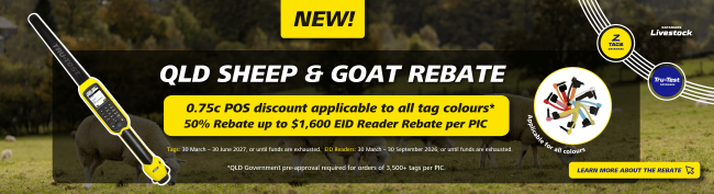 New addition Desktop Rebate banner 