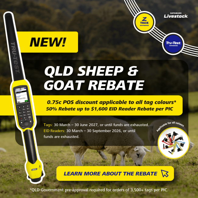 New addition Mobile Rebate banner 